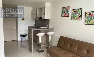Apartaestudio AMOBLADO en Arriendo en Ibague, Terekay 2, Calle 69