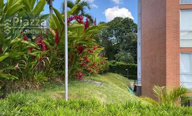 Apartaestudio AMOBLADO en Arriendo en Ibague, Terekay 2, Calle 69