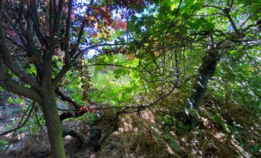 Excelente Ubicación, vende terreno, 2 casas, regularizadas