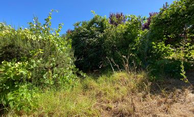 Excelente Ubicación, vende terreno, 2 casas, regularizadas