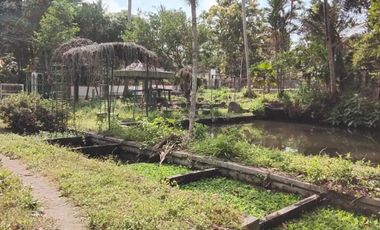 LAHAN LUAS BEKAS PEMANCINGAN DI SLEMAN