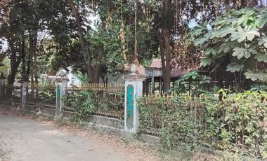 LAHAN LUAS BEKAS PEMANCINGAN DI SLEMAN