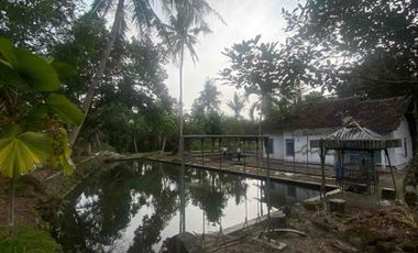 LAHAN LUAS BEKAS PEMANCINGAN DI SLEMAN