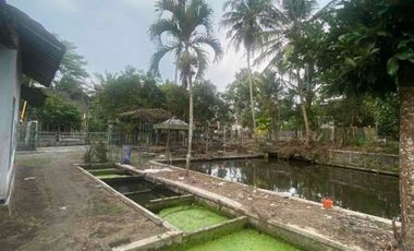 LAHAN LUAS BEKAS PEMANCINGAN DI SLEMAN