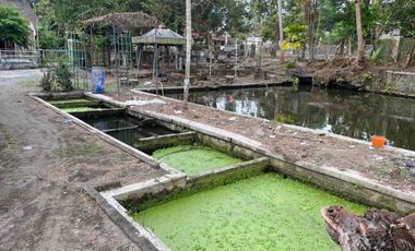 LAHAN LUAS BEKAS PEMANCINGAN DI SLEMAN