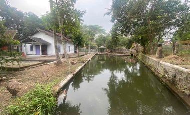 LAHAN LUAS BEKAS PEMANCINGAN DI SLEMAN