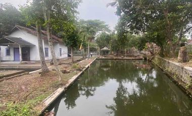 LAHAN LUAS BEKAS PEMANCINGAN DI SLEMAN