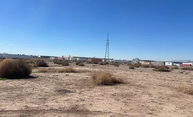 SE RENTA TERRENO PARA RESGUARDAR CAMIONES TRAILLER, A 1 DLLS EL M2