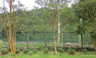 Excelente casa a orilla Rio Valdivia