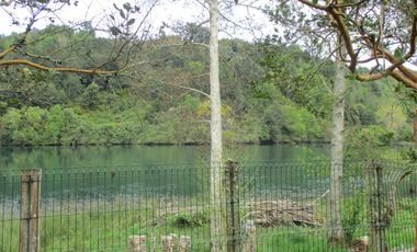 Excelente casa a orilla Rio Valdivia