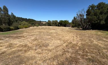 Mantagua, altura Campo Mar 1