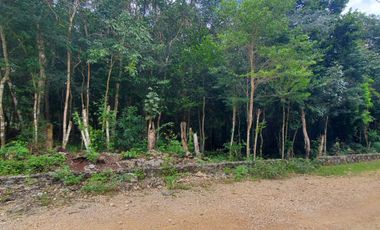 VENTA DE TERRENO EN TULUM SOBRE CARRETERA CANCÚN CHETUMAL