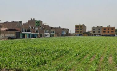 Venta De Terreno En Carabayllo