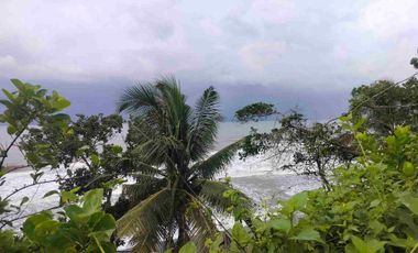 di sewakan lahan los pantai beach frount di desa antap selemadeg barat tabanan bali.