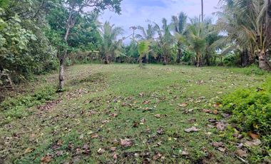 di sewakan lahan los pantai beach frount di desa antap selemadeg barat tabanan bali.