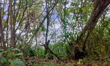 di sewakan lahan los pantai beach frount di desa antap selemadeg barat tabanan bali.