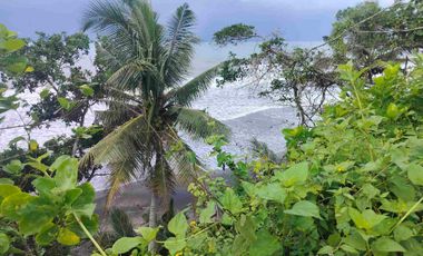 di sewakan lahan los pantai beach frount di desa antap selemadeg barat tabanan bali.