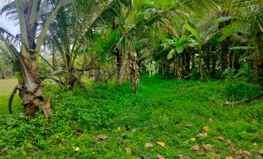 di sewakan lahan los pantai beach frount di desa antap selemadeg barat tabanan bali.