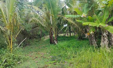 di sewakan lahan los pantai beach frount di desa antap selemadeg barat tabanan bali.