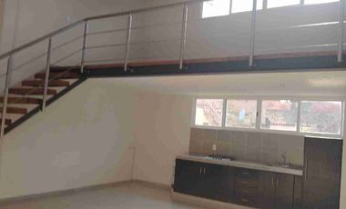 Hermosos Loft a doble altura y ROOF garden en el centro de Cuernavaca, Morelos