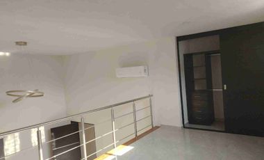 Hermosos Loft a doble altura y ROOF garden en el centro de Cuernavaca, Morelos