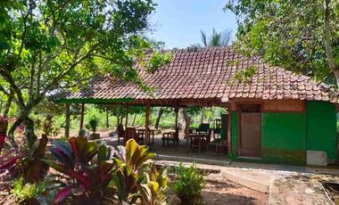 JUAL CEPAT MURAH VILLA /RUMAH/KOLAM/SAWAH AKSES 2 MOBIL