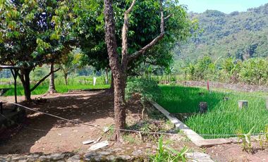 JUAL CEPAT MURAH VILLA /RUMAH/KOLAM/SAWAH AKSES 2 MOBIL