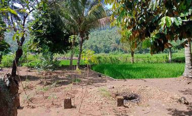 JUAL CEPAT MURAH VILLA /RUMAH/KOLAM/SAWAH AKSES 2 MOBIL