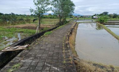 TANHA DI DENPASAR HANYA 200JUTAAN