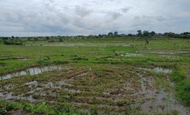 TANHA DI DENPASAR HANYA 200JUTAAN