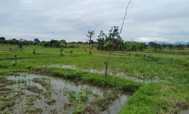 TANHA DI DENPASAR HANYA 200JUTAAN