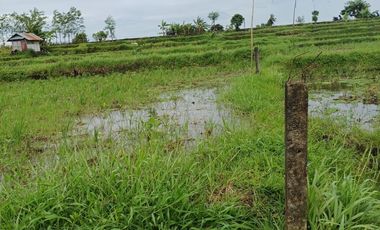 TANHA DI DENPASAR HANYA 200JUTAAN