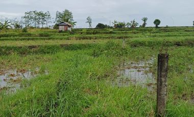 TANHA DI DENPASAR HANYA 200JUTAAN