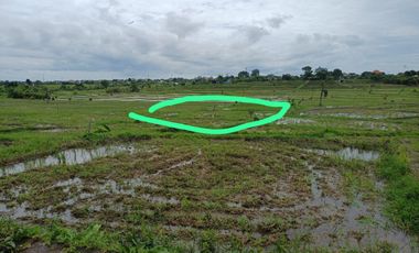 TANHA DI DENPASAR HANYA 200JUTAAN