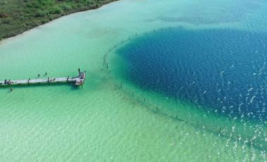 TERRENOS EN VENTA EN TULUM SOBRE CARRETERA CANCÚN CHETUMAL