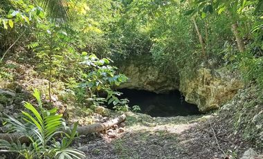 TERRENOS EN VENTA EN TULUM SOBRE CARRETERA CANCÚN CHETUMAL