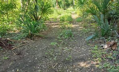 TERRENOS EN VENTA EN TULUM SOBRE CARRETERA CANCÚN CHETUMAL
