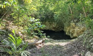 TERRENOS EN VENTA EN TULUM SOBRE CARRETERA CANCÚN CHETUMAL