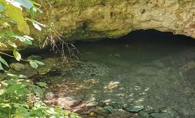 TERRENOS EN VENTA EN TULUM SOBRE CARRETERA CANCÚN CHETUMAL