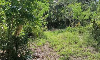 TERRENOS EN VENTA EN TULUM SOBRE CARRETERA CANCÚN CHETUMAL