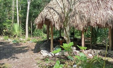 TERRENOS EN VENTA EN TULUM SOBRE CARRETERA CANCÚN CHETUMAL