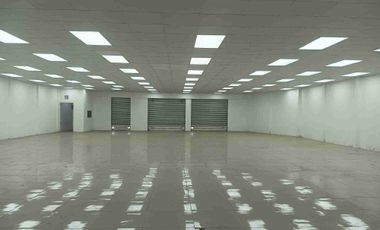 ALQUILO LOCAL COMERCIAL, SOBRE VIA PRINCIPAL