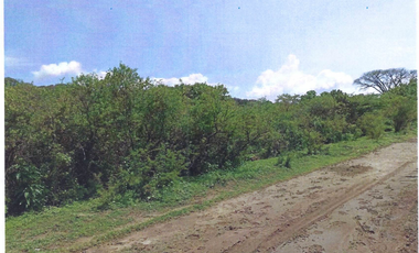 Terreno en Venta 17 Hectáreas , con vista a Laguna de Cajititlán