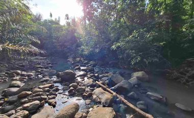 dijual tanah kebun murah los sungai jernih dengan view sawah dan gunung di tabanan bali