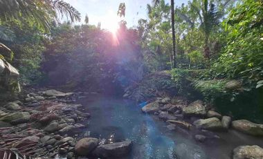 dijual tanah kebun murah los sungai jernih dengan view sawah dan gunung di tabanan bali