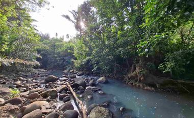dijual tanah kebun murah los sungai jernih dengan view sawah dan gunung di tabanan bali