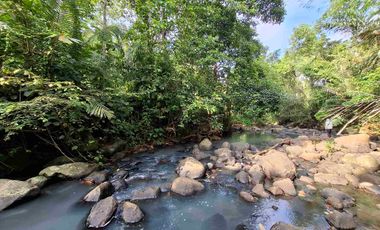 dijual tanah kebun murah los sungai jernih dengan view sawah dan gunung di tabanan bali