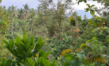 dijual tanah kebun murah los sungai jernih dengan view sawah dan gunung di tabanan bali