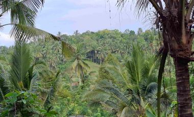 dijual tanah kebun murah los sungai jernih dengan view sawah dan gunung di tabanan bali