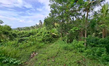 dijual tanah kebun murah los sungai jernih dengan view sawah dan gunung di tabanan bali